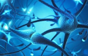 Synapsen - Neurogenese - TPS - Alzheimer Deutschland