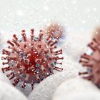 Herpes-Virus-Infektionen können Demenz-Erkrankungen auslösen - Alzheimer Deutschland